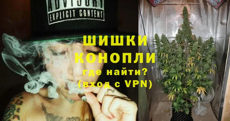 Бошки марихуана OG Kush  купить наркоту  Княгинино 